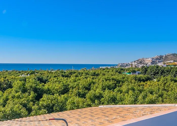 Flores De By Ruralidays *