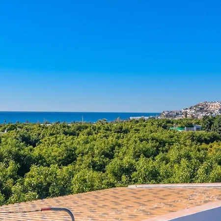 Flores De By Ruralidays